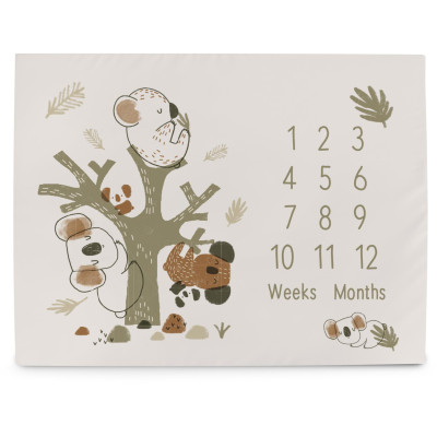 CEBA 309-000-729 Foto mata 92x72 Basic Koala