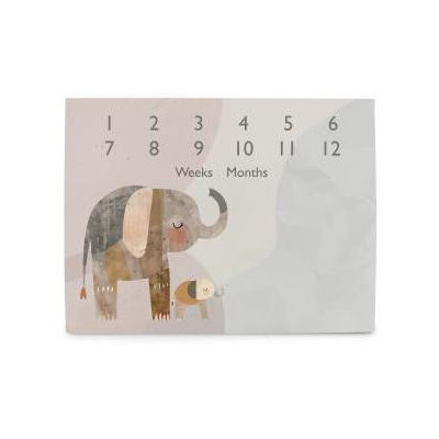 CEBA 309-000-781 Foto mata 92x72 Basic Elephant Family