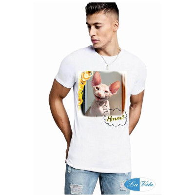 Mačička