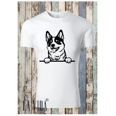 Akita