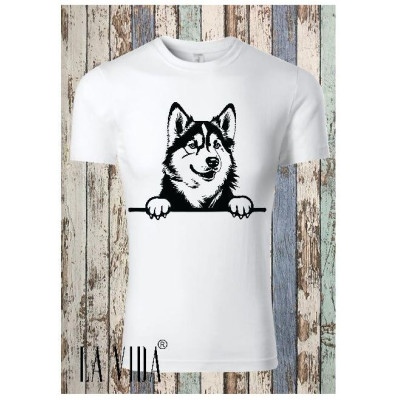 alaskan malamute