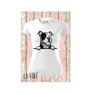 american bully