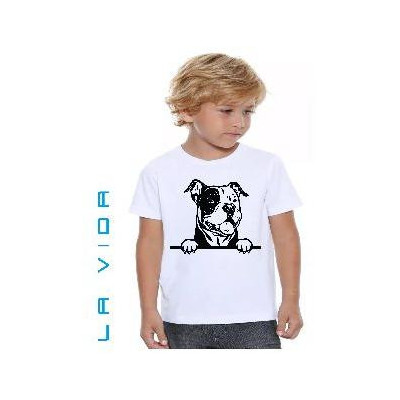 american bully