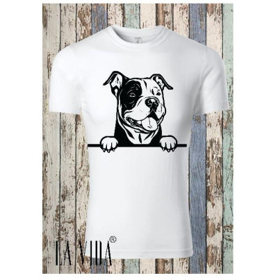 american bully