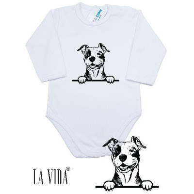 amstaff 1