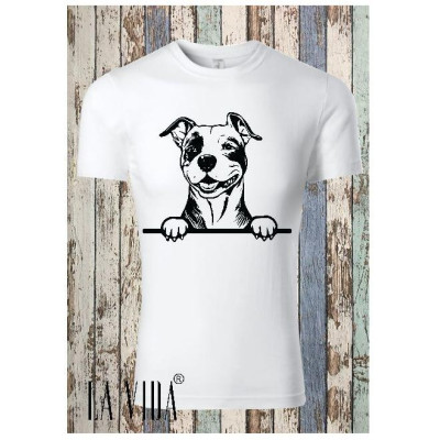 amstaff 1