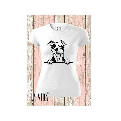 amstaff 1