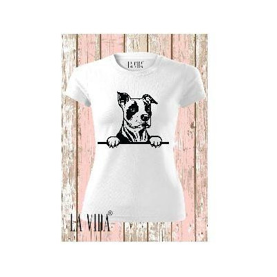 amstaff