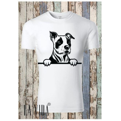 amstaff
