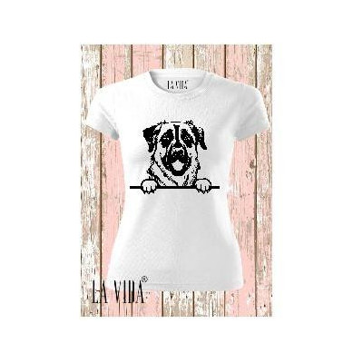 ANATOLIAN SHEPHERD DOG 1