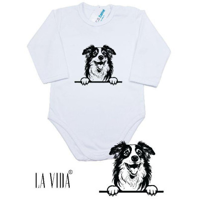 australian shepherd