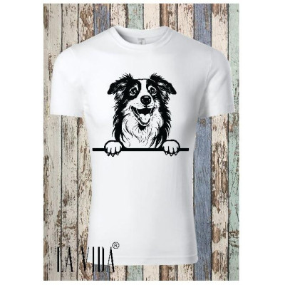 australian shepherd