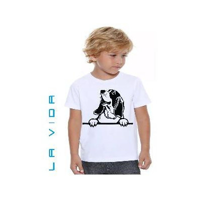 basset hound