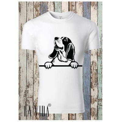 basset hound