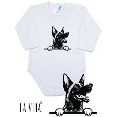 belgian malinois