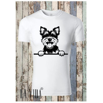 biewer terrier 1