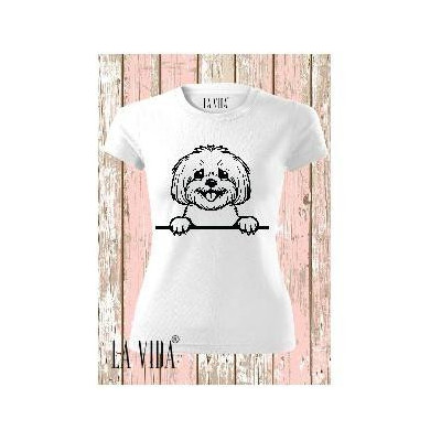 Bichon