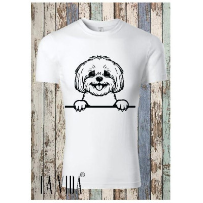 Bichon