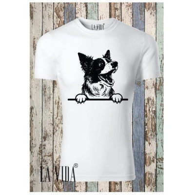 border collie 1
