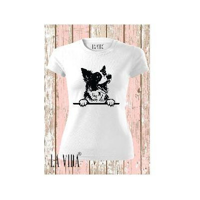 border collie 1
