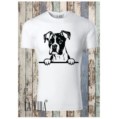 boxer 1