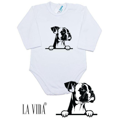 boxer