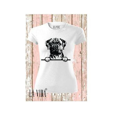 bullmastiff