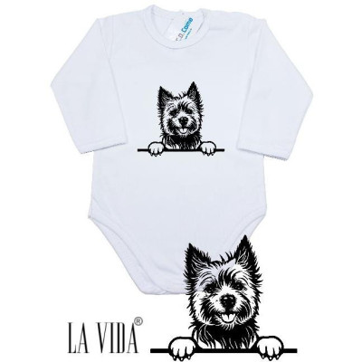 cairn terrier 1