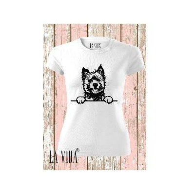 cairn terrier 1