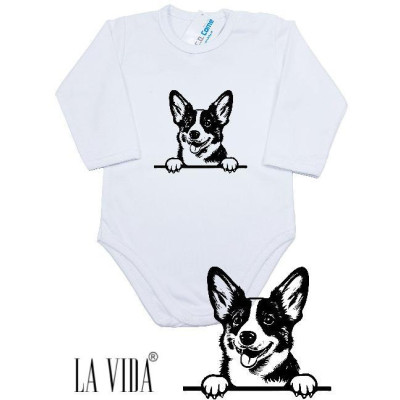 cardigan welsh corgi 1