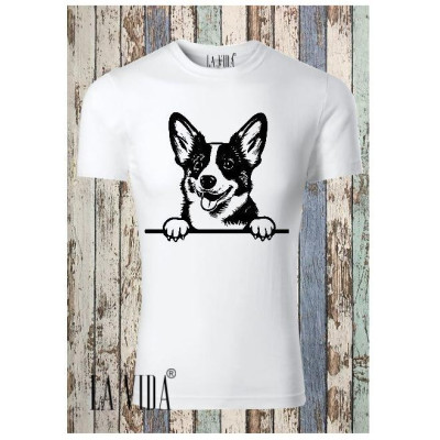 cardigan welsh corgi 1