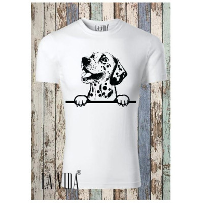 dalmatian