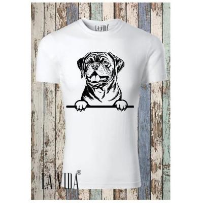 DOGUES DE BORDEAUX 1