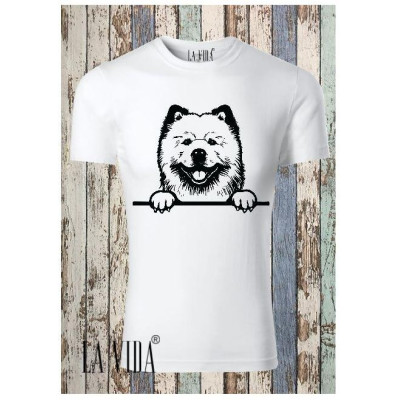 chow chow