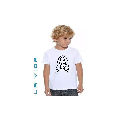 BASSET HOUND 2