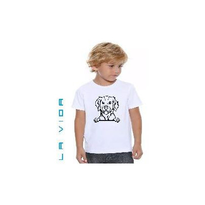 BRITTANY SPANIEL 2