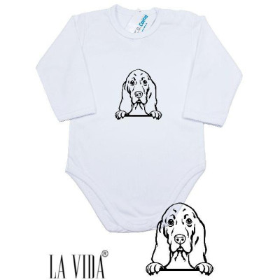 BASSET HOUND 2