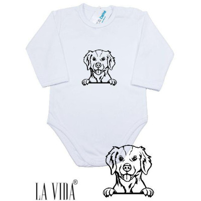 BRITTANY SPANIEL 2