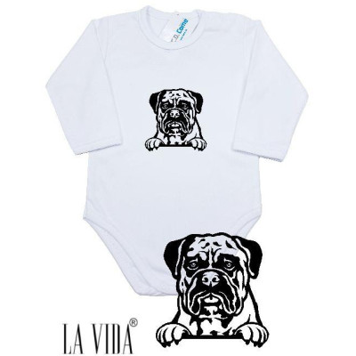 BULLMASTIFF 2