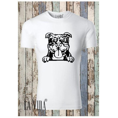 AMERICAN BULLY 2