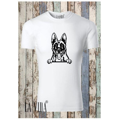 BELGIAN MALINOIS 2