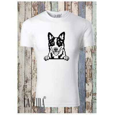 BLUE HEELER 2
