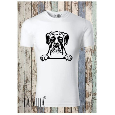 BOXER 2