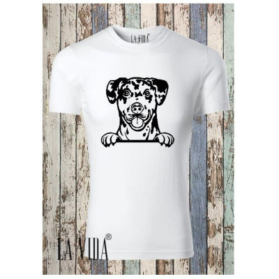 CATAHOULA 2