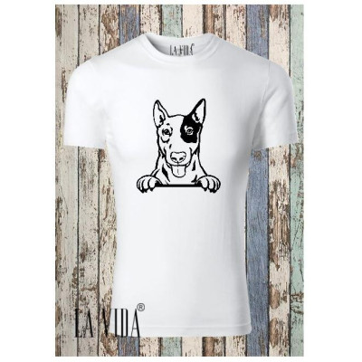 ENGLISH BULLTERRIER 2
