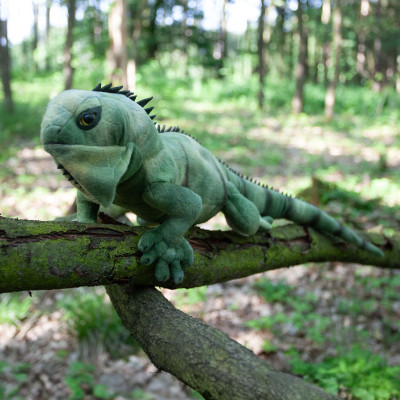 Plyšový leguán zelený 68 cm ECO-FRIENDLY